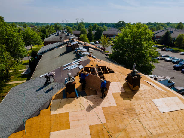 Best Storm Damage Roof Repair  in West Deland, FL