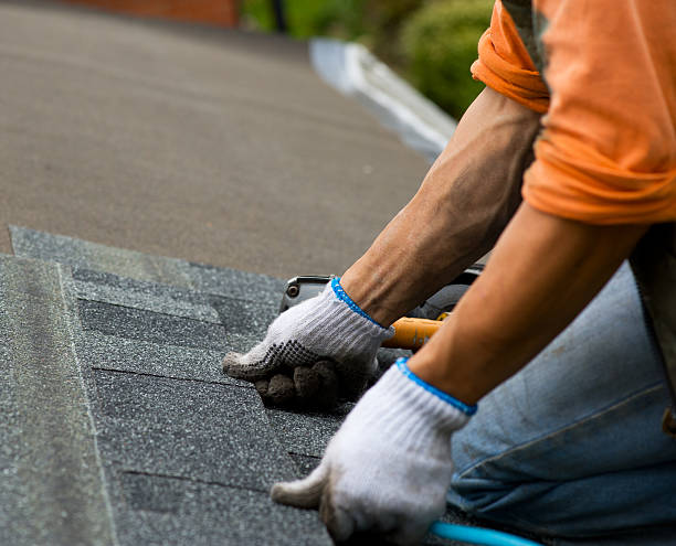 Best Gutter Installation and Roofing  in West Deland, FL